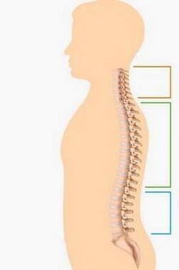 skirtingų stuburo dalių osteochondrozės pažeidimas